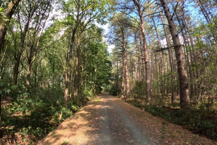 Gravel ride photo from Breda to Zeeuws-Vlaanderen via Antwerp. Pre-watch & download the route on Gravelnomads.com